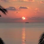 Emilia Barrera Avatar